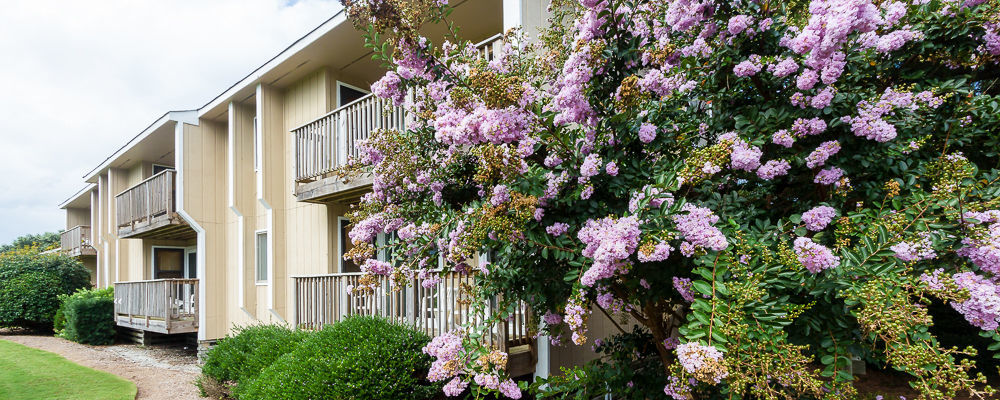 Sea Scape Beach And Golf Villas Kitty Hawk Bagian luar foto